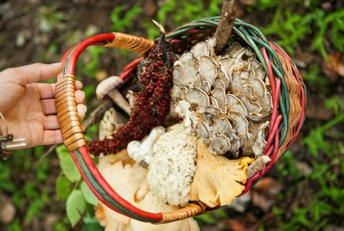 Latest Articles Image